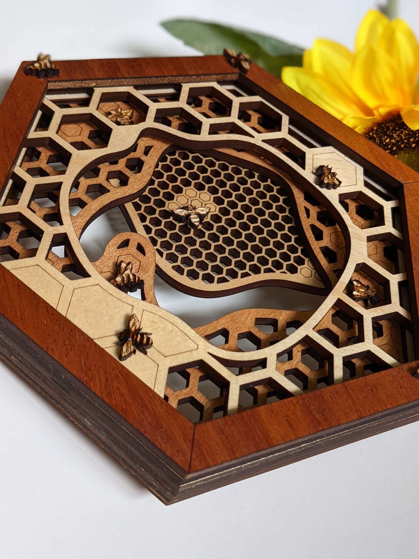 Honeycomb Wall Art Shadow box 60.00