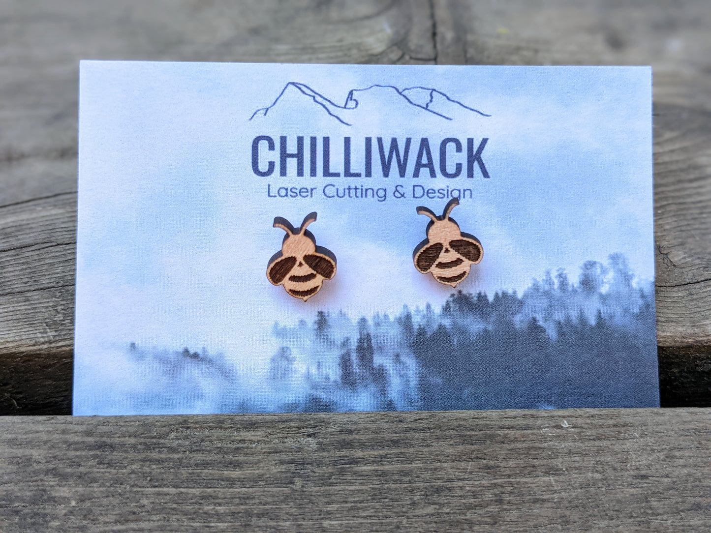 Save The Bees Earrings Earrings 9.00