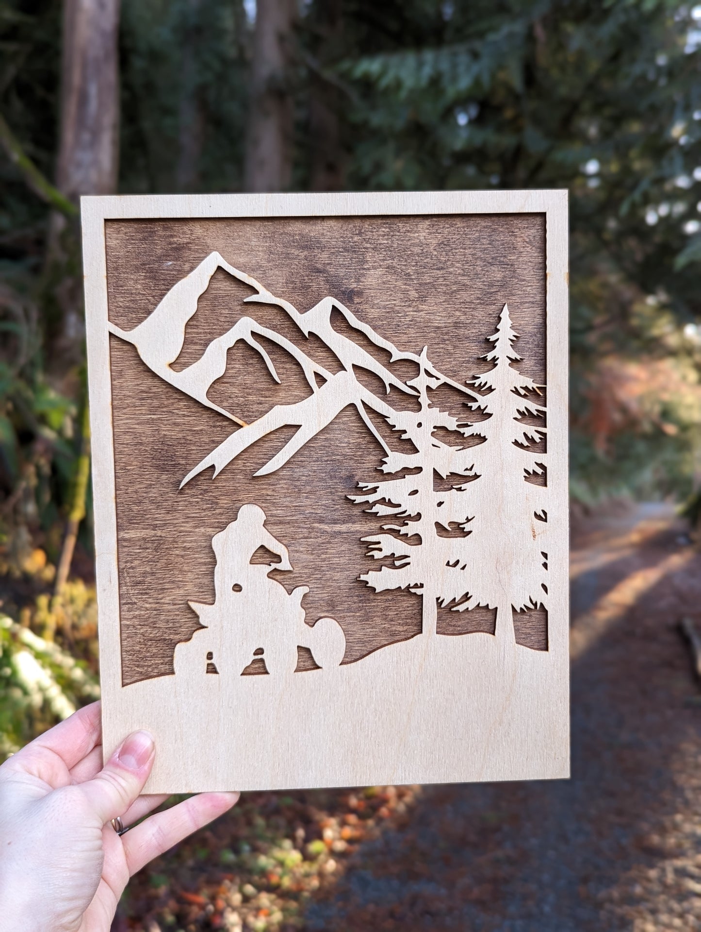 2 Layer 3D Wooden Quad riding Wall Art