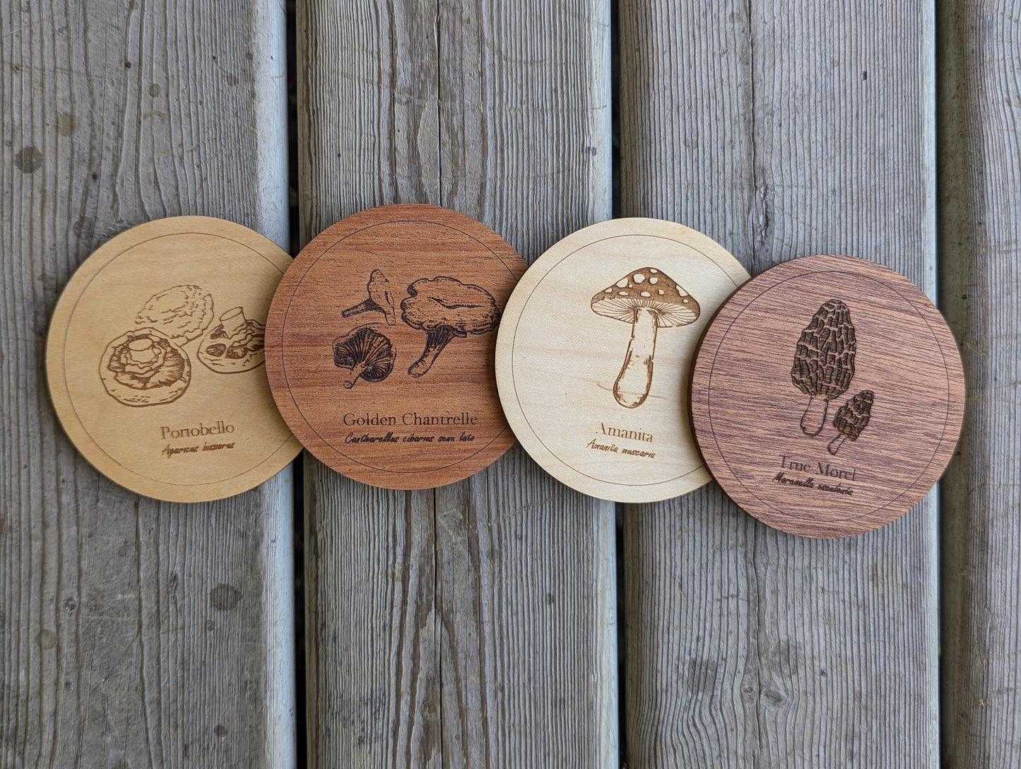 Botanical and Mushroom Coasters