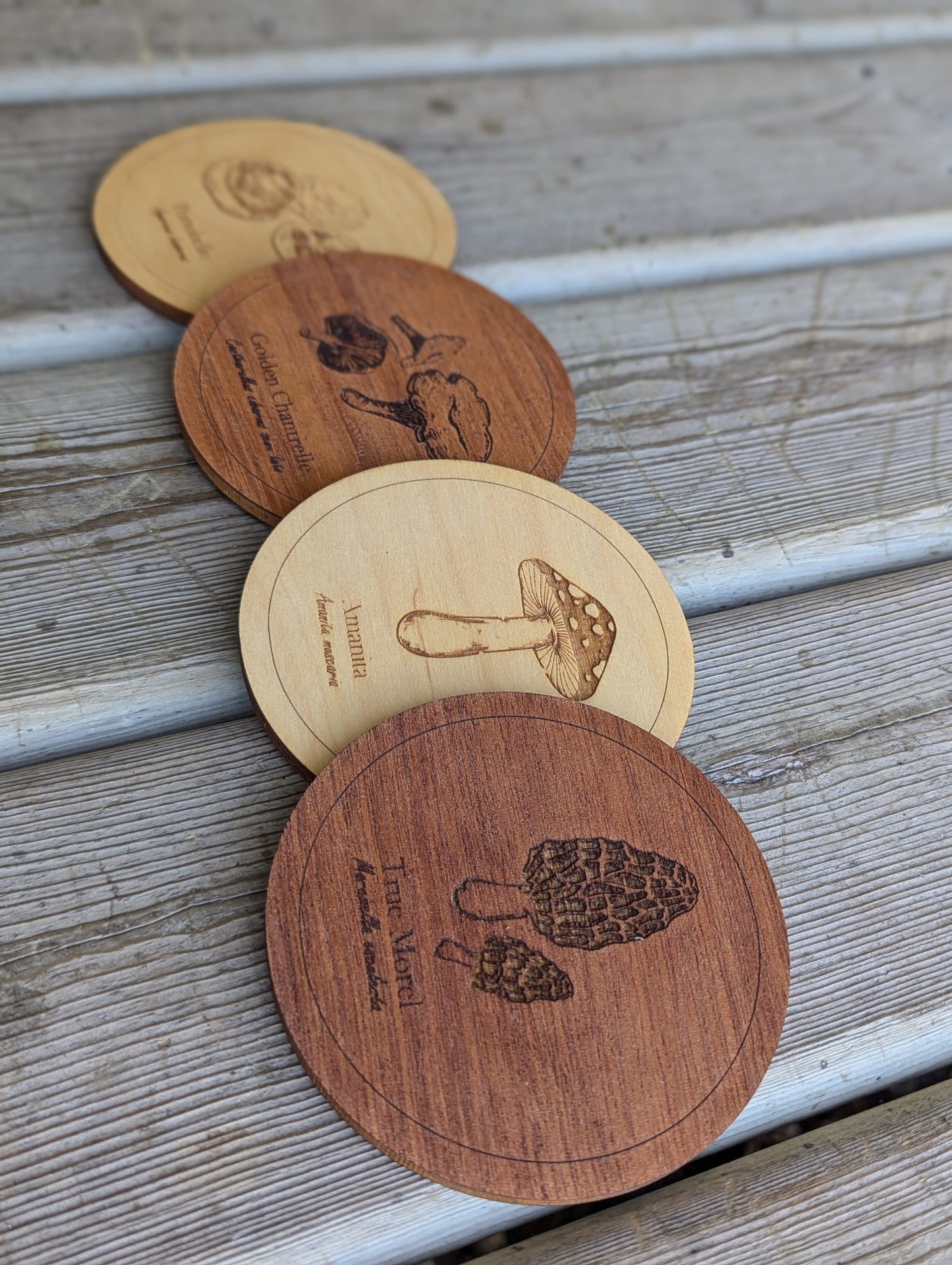 Botanical and Mushroom Coasters