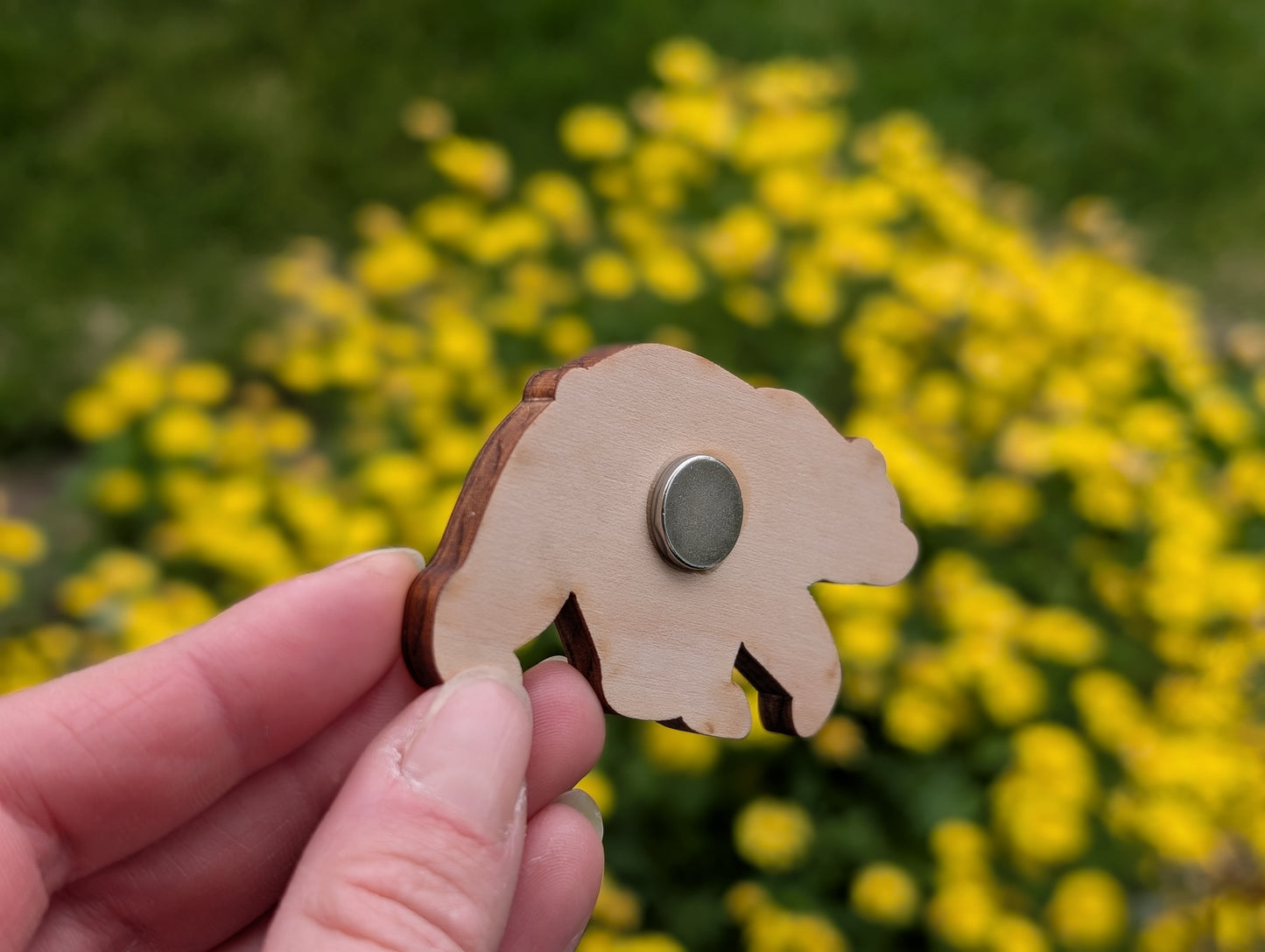 Adventure Bear Keychain and Magnet