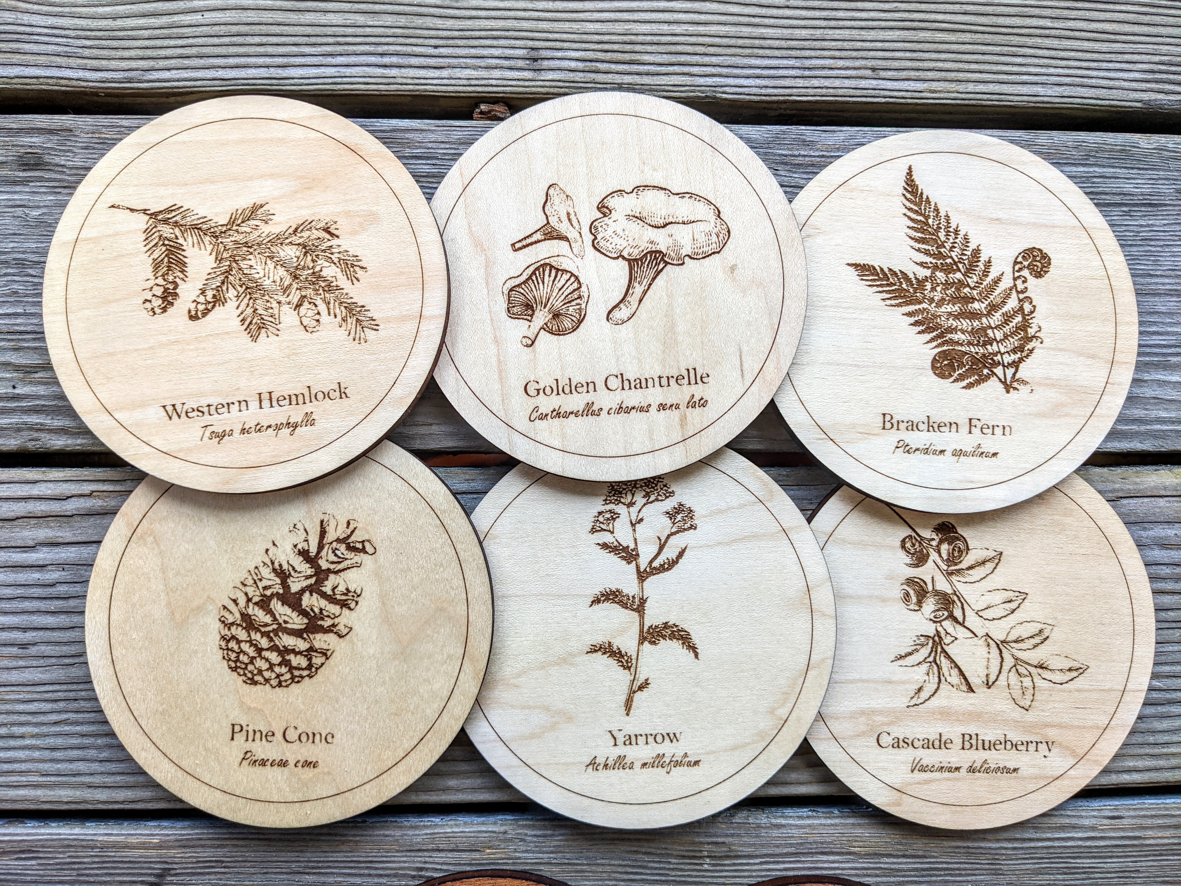 Botanical Coasters