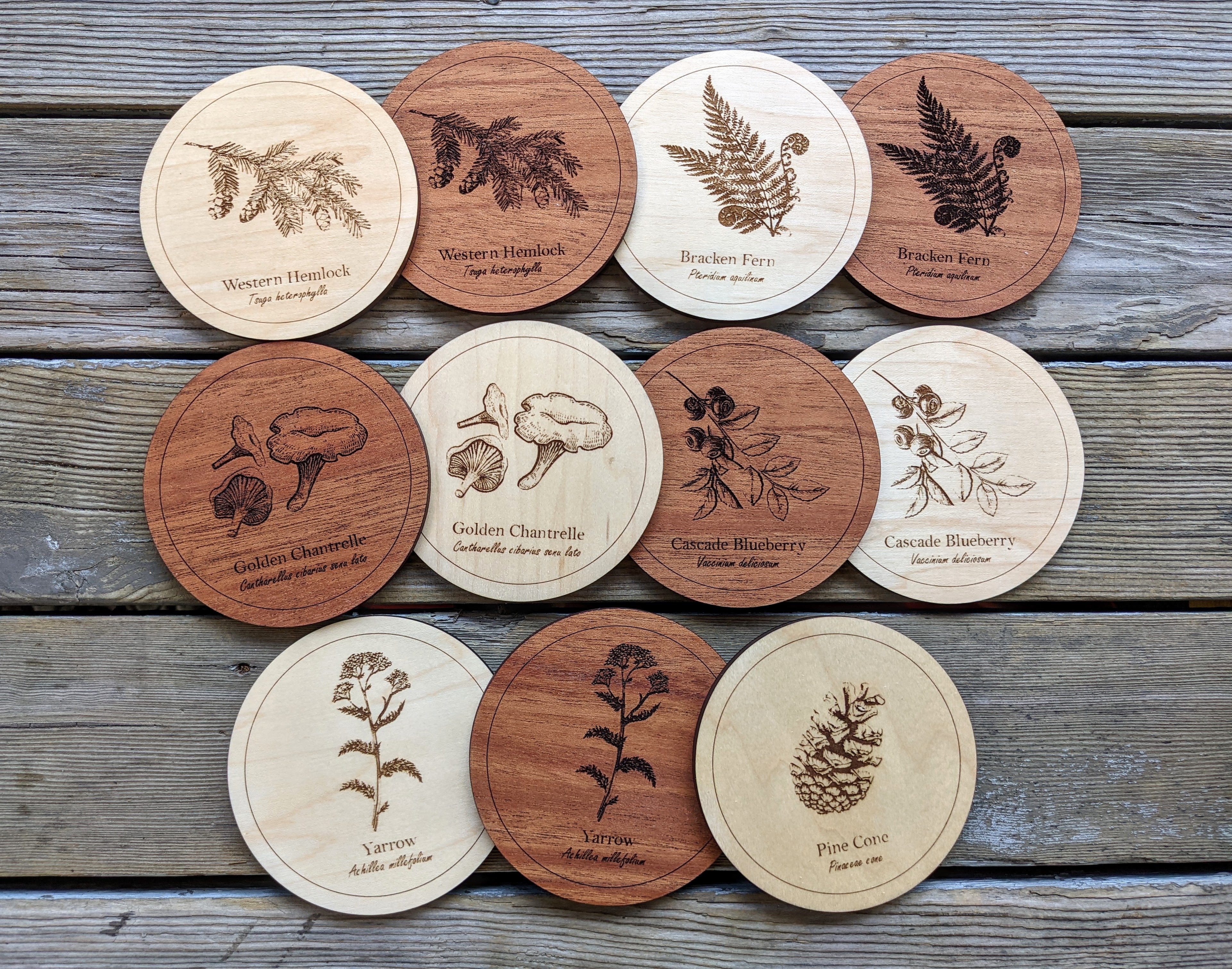 Botanical Coasters